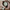 Compass Beard Bundle