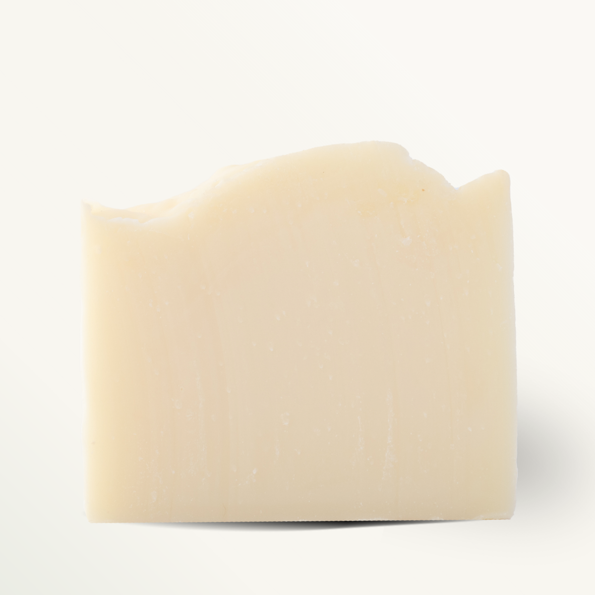 The Backpacker Bar Soap