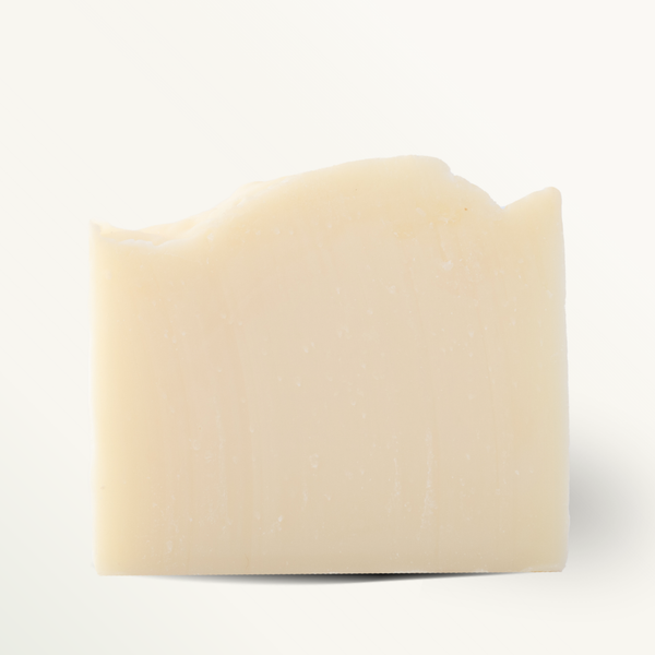 The Backpacker Bar Soap