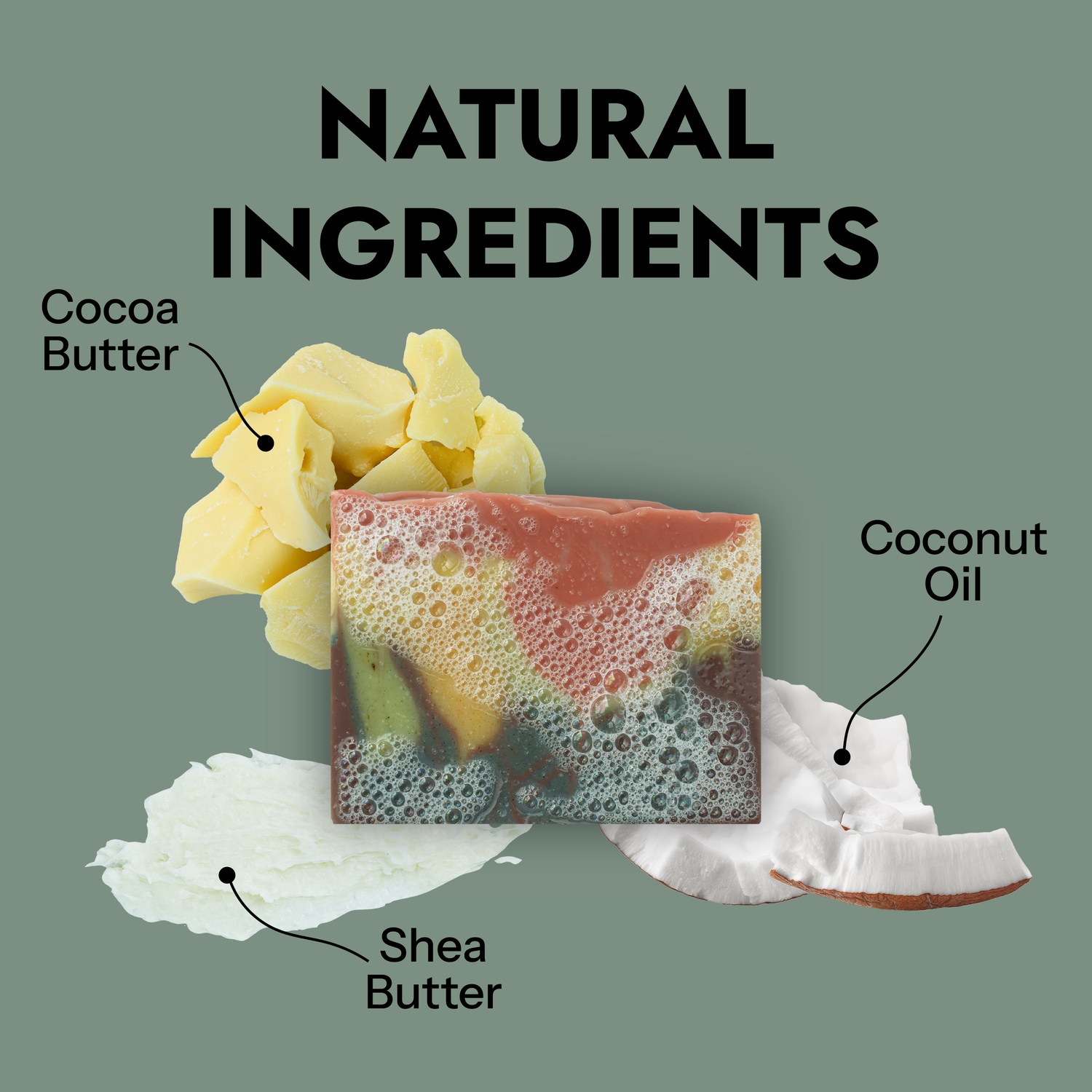 Rainbow Reef - Limited Edition