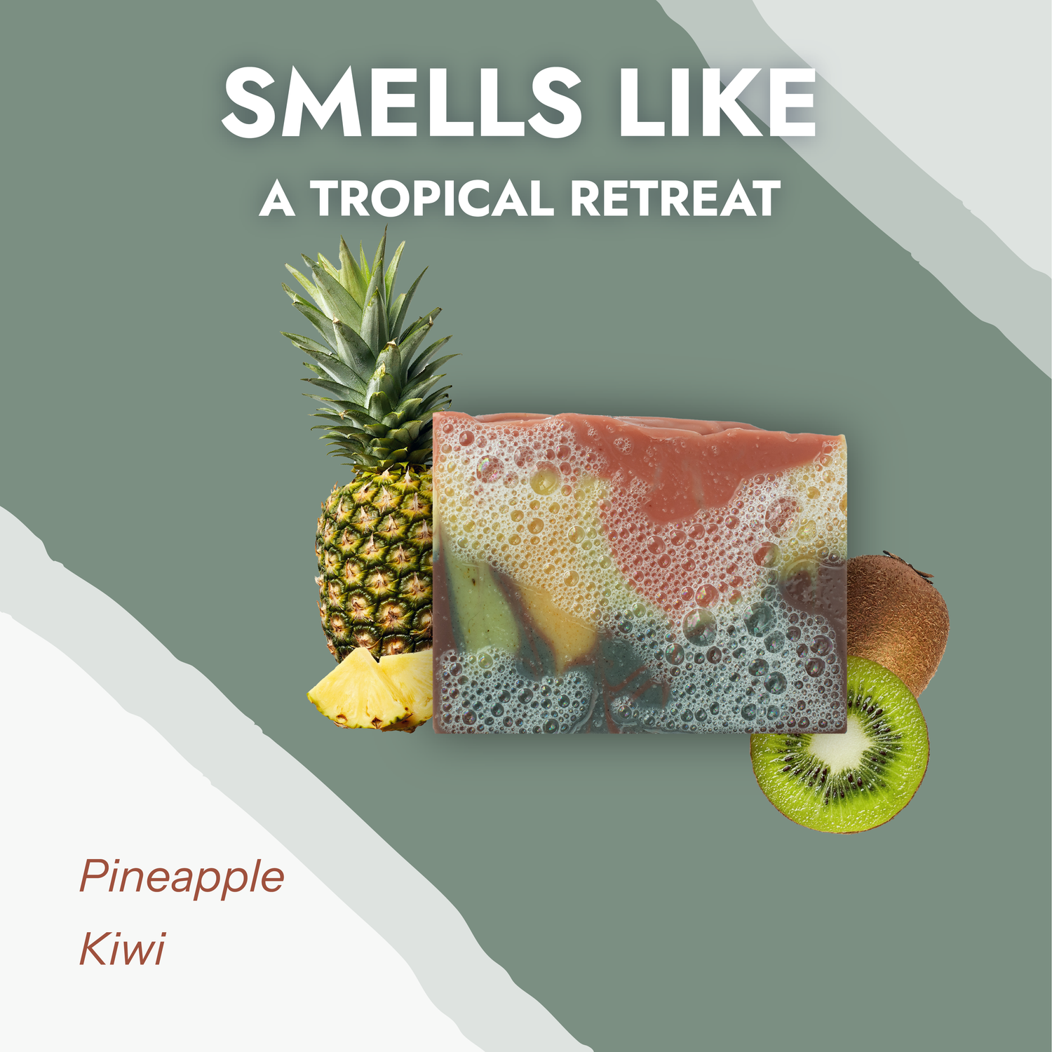 Rainbow Reef - Limited Edition