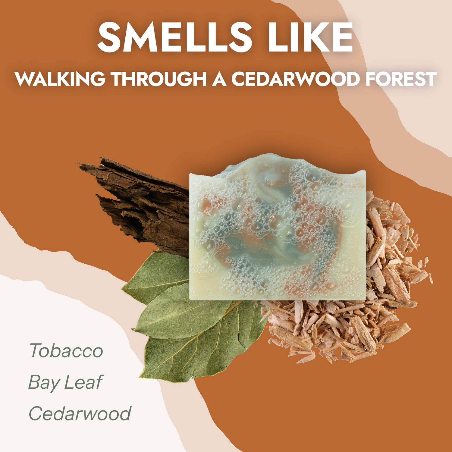 The Journey Bar Soap