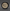 The Backpacker beard balm